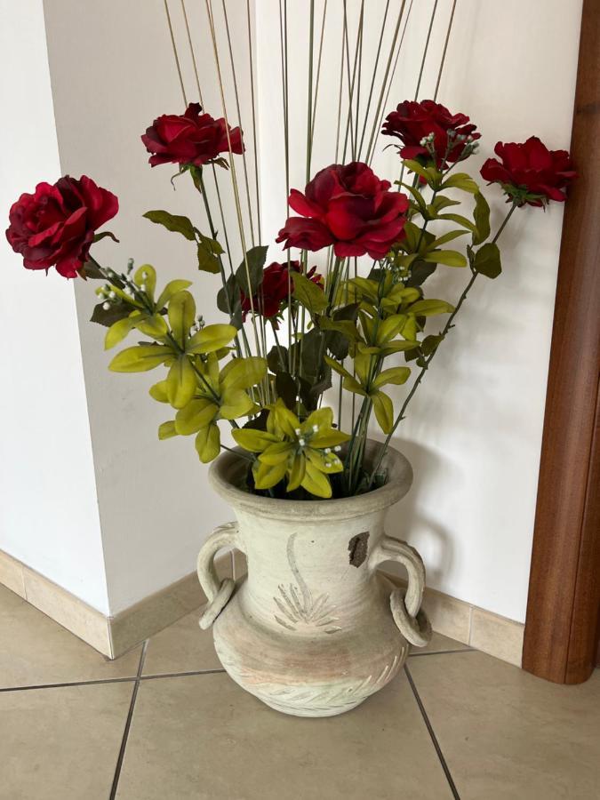 Casa Meraviglia Apartment Montesilvano Marina Екстериор снимка